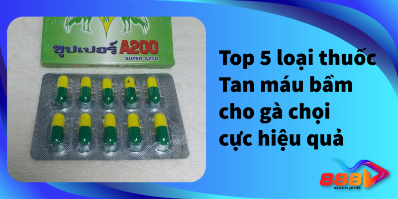 Top 5 loại thuốc tan mấu bầm cho gà chọi cực hiểu quả