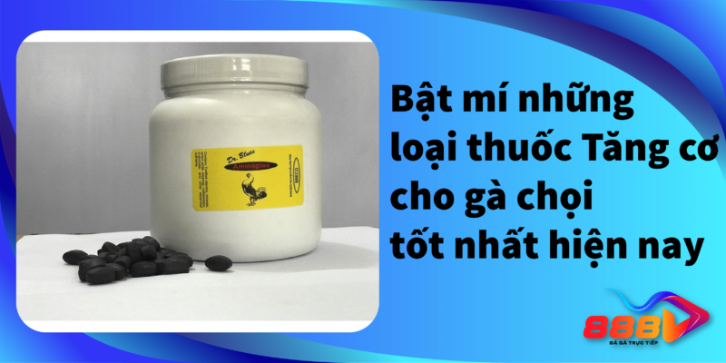 Bật mí những loại thuốc tăng cơ cho gà chọi tốt nhất hiện nay