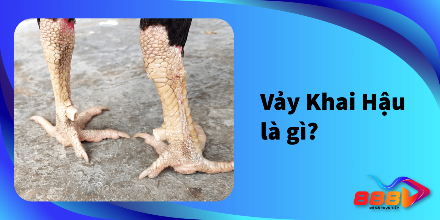 Vảy Khai Hậu là gì? Cách nhận biết Vảy Khai Hậu