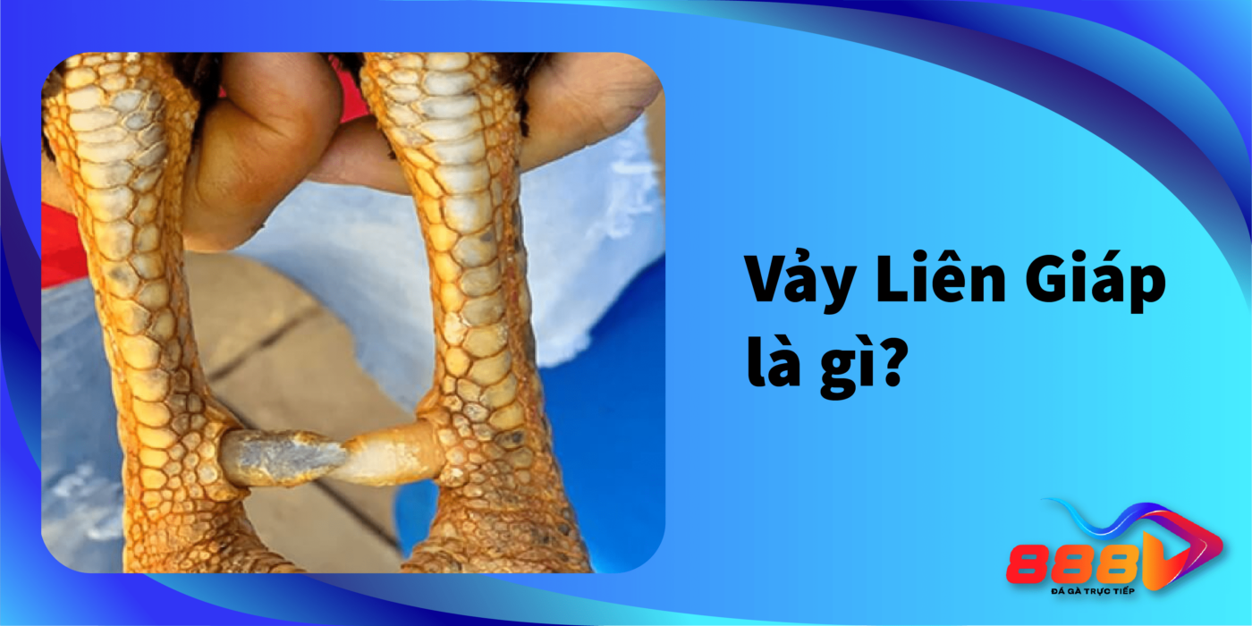 Dấu hiệu nhận biết Vảy Liên Giáp là gì?