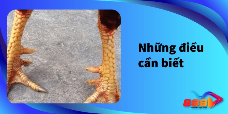 Những điều cần biết