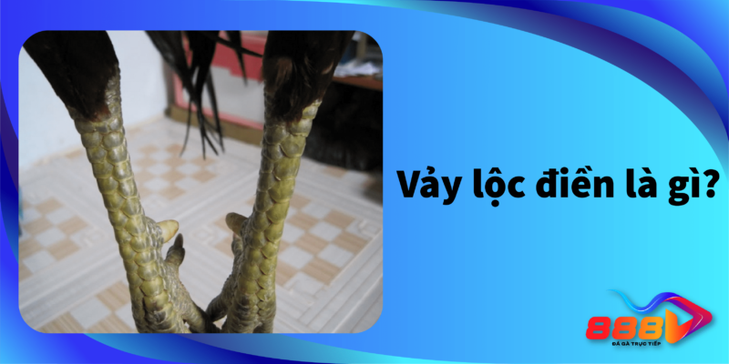 Vảy lộc điền là gì? Tìm hiểu những đặc điểm của Vảy lộc điền