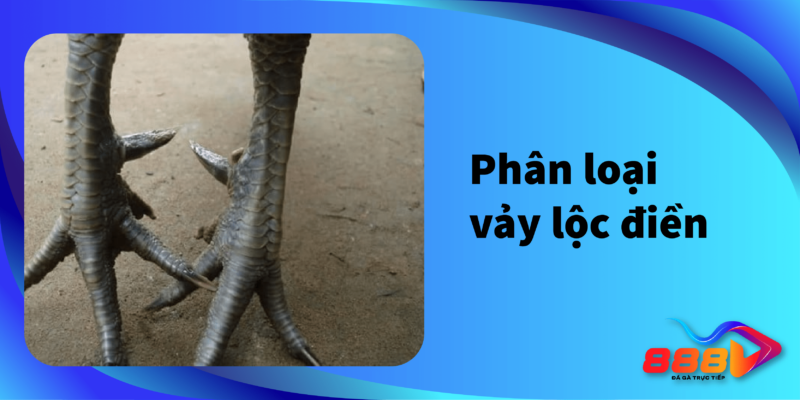 Phân loại vảy lộc điền