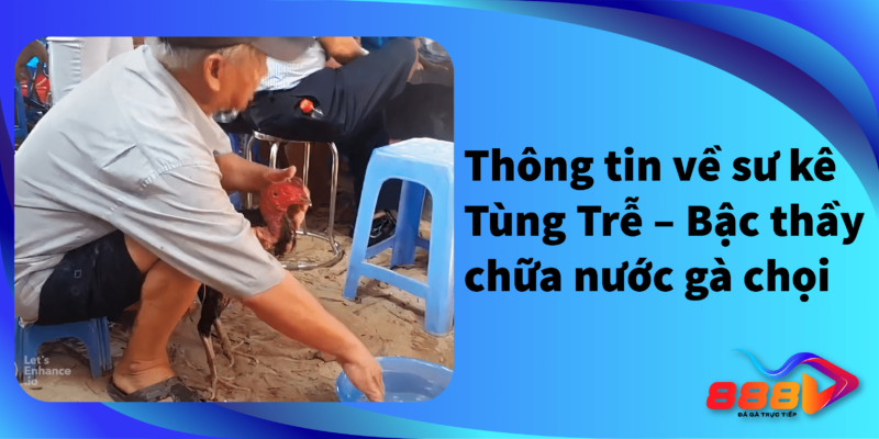 Thông tin về sư kê Tùng trễ-Bậc thầy chữa nước gà chọi