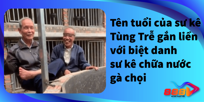 Tên tuổi của sư kê Tùng trễ gắn liền với biệt danh sư kê chữa nước gà chọi