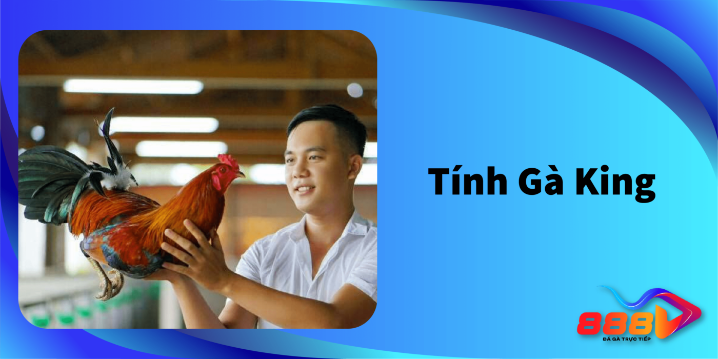 Giới thiệu về Tính gà King? Giải mã thành công của Tính Gà King